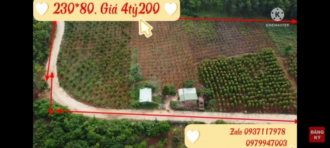 Bán đất rẫy 230m MT đường cách Quốc lộ 25 chỉ 300m tại xã H Bông, Gia Lai.