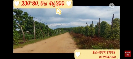 Bán đất rẫy 230m MT đường cách Quốc lộ 25 chỉ 300m tại xã H Bông, Gia Lai.