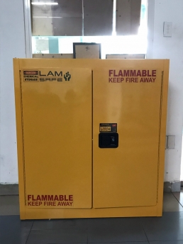 TỦ DỰNG DUNG MÔI CÓ THỂ CHÁY LỌAI 2 CỬA