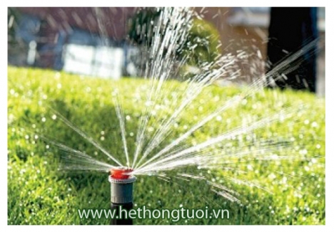 Vòi phun xoay đa tia mp1000 hunter mỹ,Vòi phun mp2000 hunter mỹ,Vòi phun mp3000 hunter mỹ