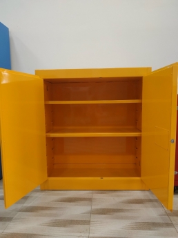 TỦ DỰNG DUNG MÔI CÓ THỂ CHÁY LỌAI 2 CỬA