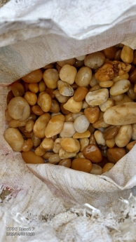 Sỏi cuội trang trí lối điii