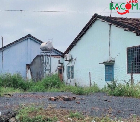Bán đất 2MT 72m2 shr thổ cư gần chợ Tân Tiến Phường Tân Phong Biên hoà