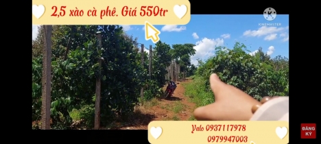 Bán 2,5 xào đất rẫy có 50m Mặt tiền đường xã Ia Blang, Gia Lai.