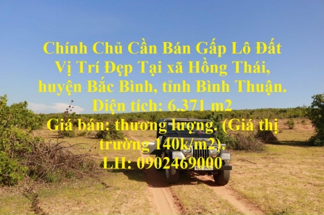Chính Chủ Cần Bán Gấp Lô Đất Vị Trí Đẹp Tại Tỉnh Bình Thuận để gồng lỗ chứng khoán và Bitcoin.