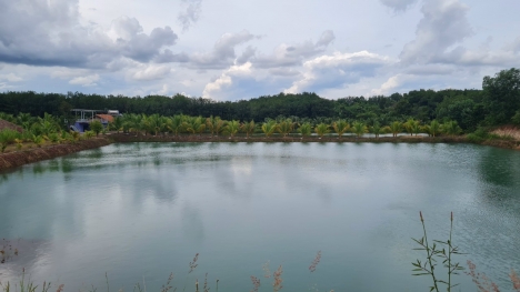 ĐẤT NỀN VIEW HỒ SEN RỘNG 16 HA. CHỈ CÓ 7 NỀN ĐẤT NỀN ODT Ở THỊ TRẤN TÂN KHAI VIEW HỒ SIÊU ĐẸP. SỔ