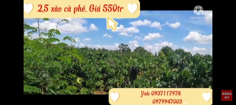 Bán 2,5 xào đất rẫy có 50m Mặt tiền đường xã Ia Blang, Gia Lai.