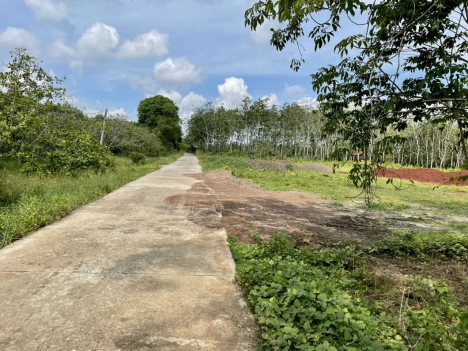 ĐẤT NỀN VIEW HỒ SEN RỘNG 16 HA. CHỈ CÓ 7 NỀN ĐẤT NỀN ODT Ở THỊ TRẤN TÂN KHAI VIEW HỒ SIÊU ĐẸP. SỔ