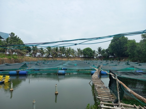 Đất Sản Xuất - View Đẹp - Vị Trí Đẹp Duy Nhất Tại Ấp Bưng Rò, Xã Hoà Hội, Châu Thành - Tây Ninh
