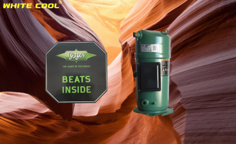 MÁY NÉN XOẮN ỐC BITZER ĐỨC (XUẤT XỨ MỸ)