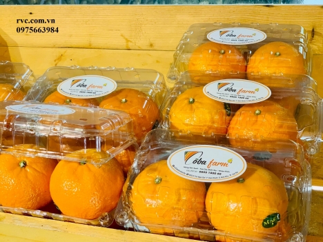Hộp nhựa trái cây 1kg chính hang rẻ nhất toàn quốc