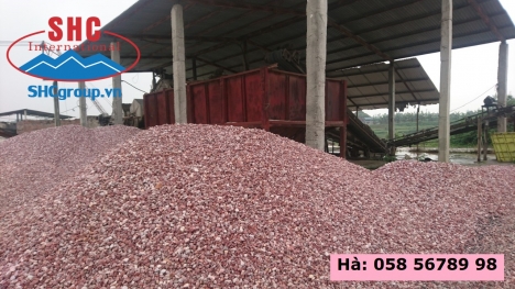 Sỏi vàng quay trang trí