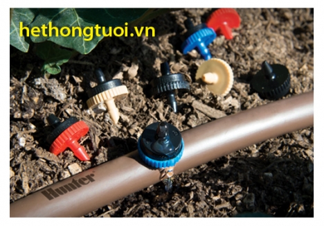 Hệ thống tưới nhỏ giọt giá cực tốt, tưới nhỏ giọt tại  hà nội