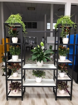 KỆ TRƯNG BÀY CAO CÁP
