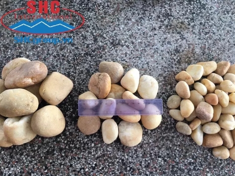 Sỏi cuội vàng trang trí