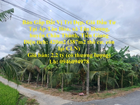 Bán Gấp Đất Vị Trí Đẹp, Giá Đầu Tư Tại Tân Hương, Châu Thành Tiền Giang