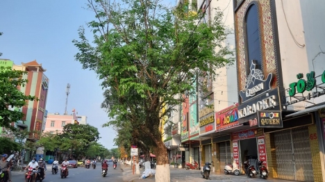 Không giỏi kinh doanh nên bán mặt tiền karaoke Ngô Văn Sở 125m2 6,x tỷ
