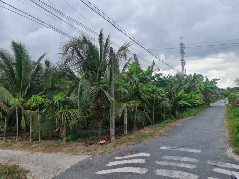 Bán Gấp Đất Vị Trí Đẹp, Giá Đầu Tư Tại Tân Hương, Châu Thành Tiền Giang