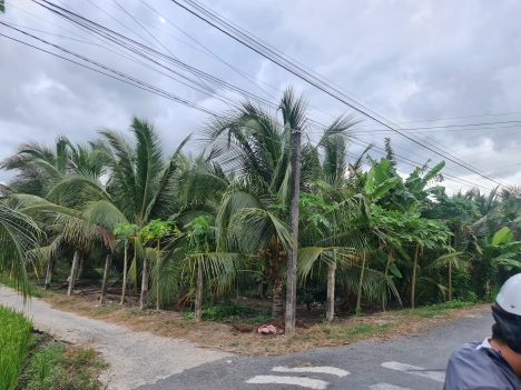 Bán Gấp Đất Vị Trí Đẹp, Giá Đầu Tư Tại Tân Hương, Châu Thành Tiền Giang