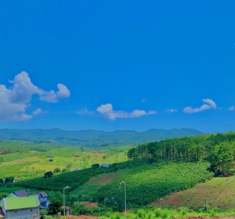 CẦN TIỀN XÂY PHÒNG TRỌ - CHÍNH CHỦ BÁN GẤP ĐẤT HỒ TRỊ AN - ĐỒNG NAI