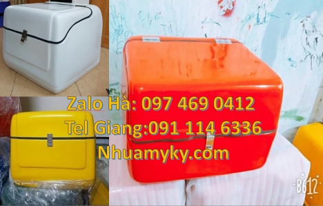 Thùng ship hàng, thùng chở bánh bao, Thùng giao hàng 62x52x62 cm, Thùng ship hàng giữ nhiệt, Thùng v