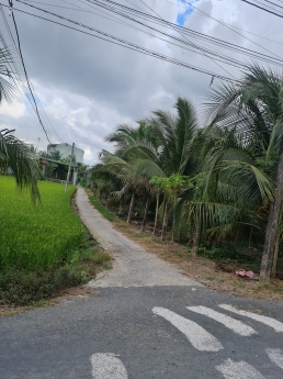 Bán Gấp Đất Vị Trí Đẹp, Giá Đầu Tư Tại Tân Hương, Châu Thành Tiền Giang