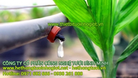 Đại lý bán tưới nhỏ giọt azud, phụ kiện tưới nhỏ giọt, tưới nhỏ giọt Bình Minh