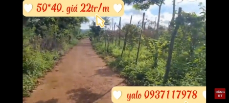 Lô góc 2 Mặt tiền 50m đất tại xã Ia Blang, Chư sê, Gia Lai. Chỉ 22tr/m ngang