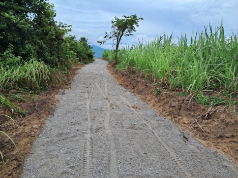 1,8 ha đất rẫy Nông Trường, Ninh Sim quy hoạch thổ giá đầu tư