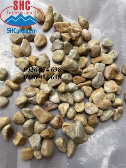 Sỏi vàng quý kích thước 1-2cm
