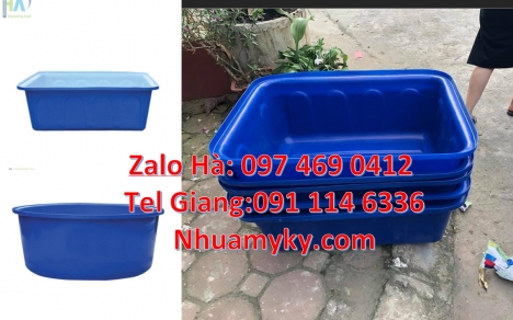 Thùng nhựa dung tích lớn, thùng nuôi cá, thùng đựng hạt nhựa Thùng nhựa dung tích lớn, Thùng nhựa