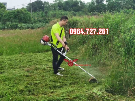 Máy cắt cỏ động cơ 4 thì Honda GX35 Thái Lan chính hãng