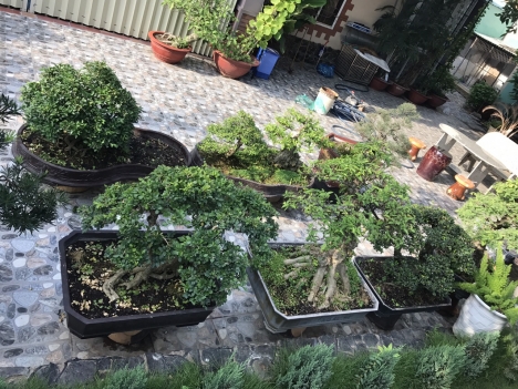BÁN NHÀ VƯỜN BIỆT THỰ ,CÓ THỂ PHÂN LÔ ĐẦU TƯ LẺ, BỬU HÒA , GIÁ RẺ