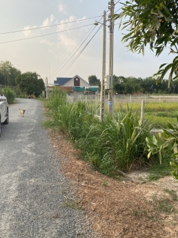 CẦN BÁN ĐẤT TRÂM VÀNG THANH PHƯỚC GÒ DẦU TN