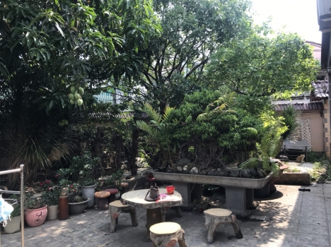 BÁN NHÀ VƯỜN BIỆT THỰ ,CÓ THỂ PHÂN LÔ ĐẦU TƯ LẺ, BỬU HÒA , GIÁ RẺ