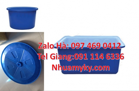 Thùng nhựa dung tích lớn, thùng nuôi cá, thùng đựng hạt nhựa Thùng nhựa dung tích lớn, Thùng nhựa