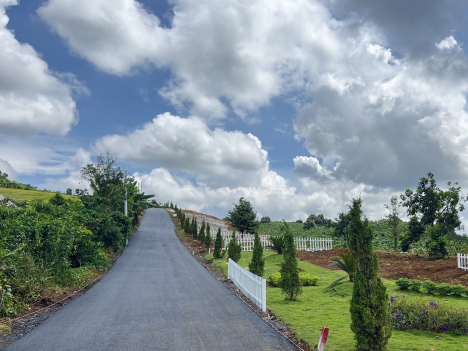 Mở bán 40 nền thổ cư giá đầu tư ngay trung tâm xã Lộc Đức . Hạ tầng hoàn thiện , sổ hồng sẵn bao