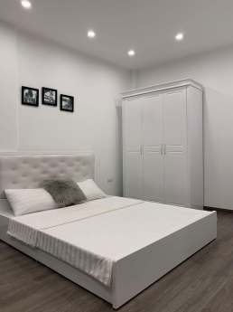 Bán nhà mặt phố Kim Ngưu , Hai Bà Trưng , DT 50m2 , 5T MT 5m Giá 17 tỷ