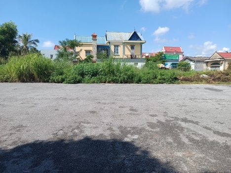 vườn đốm phấn dũng hưng đạo dương kinh 2xx