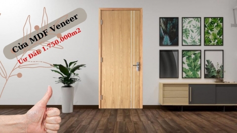 MDF Mẫu Cửa Gỗ Công Nghiệp Đẹp | Ván AN CƯỜNG