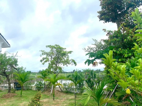 lô đất 2100m2  tại Hòa Nghĩa, Dương Kinh giá chỉ 3.5 tr.m2 đường 6m