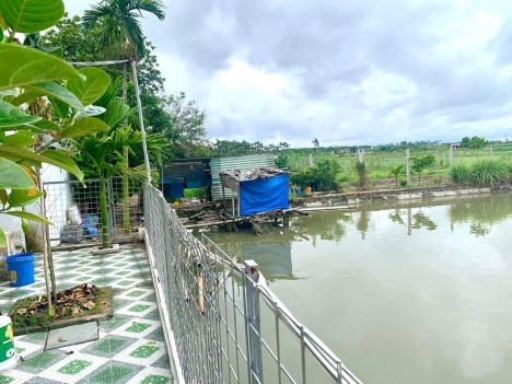 lô đất 2100m2  tại Hòa Nghĩa, Dương Kinh giá chỉ 3.5 tr.m2 đường 6m