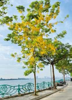 BÁN GẤP NHÀ XUÂN LA NGÕ THÔNG  Ô TÔ-KINH DOANH ĐỈNH GIÁ CHỈ NHỈNH 5 TỶ