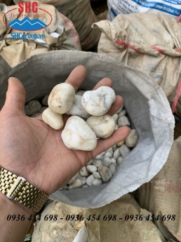 Sỏi trắng rải trong các khu đô thị