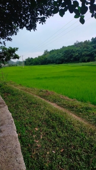 BÁN ĐẤT LƯƠNG SƠN HÒA BÌNH -  LÔ GÓC - ĐƯỜNG 6M -  CÁC ĐƯỜNG HCM 400M GIÁ 1.4TR/M