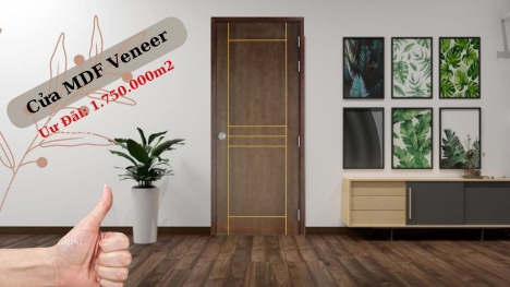 MDF Mẫu Cửa Gỗ Công Nghiệp Đẹp | Ván AN CƯỜNG
