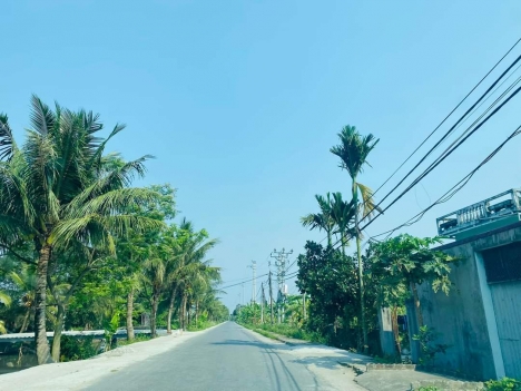 vườn đốm phấn dũng hưng đạo dương kinh 2xx