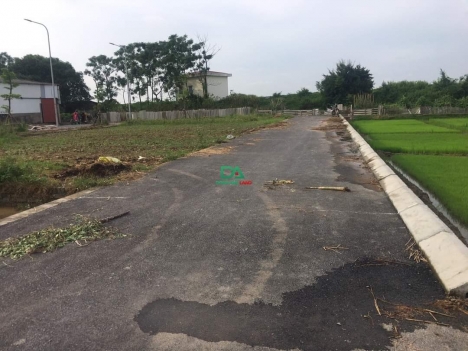 Bán đất đấu giá X3 Đào Thục, Thụy Lâm - 70m - 2MT - Chưa đến 2 tỷ