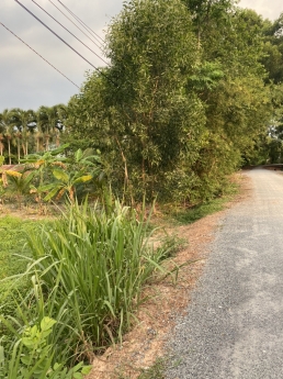 BÁN ĐẤT XÓM ĐỒNG