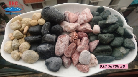 Sỏi xanh rêu trang trí